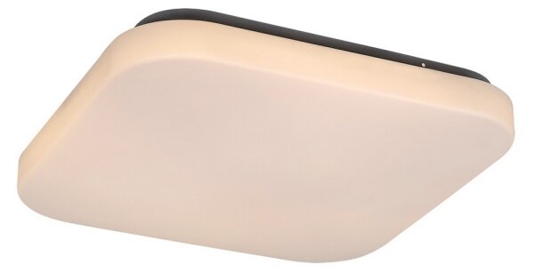 Rabalux 3340 - Plafonieră LED ROB LED/20W/230V
