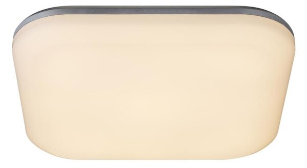 Globo 32119-24 - Plafonieră LED exterior DORI LED/24W/230V