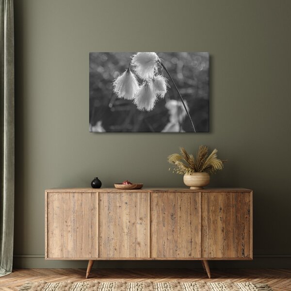 Tablou - Iarba de bumbac (90x60 cm)