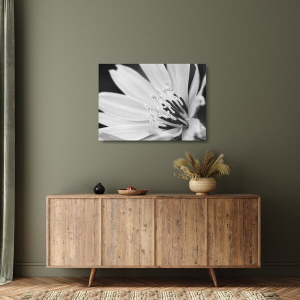 Tablou pe sticlă - Floare albă și neagră (70x50 cm)