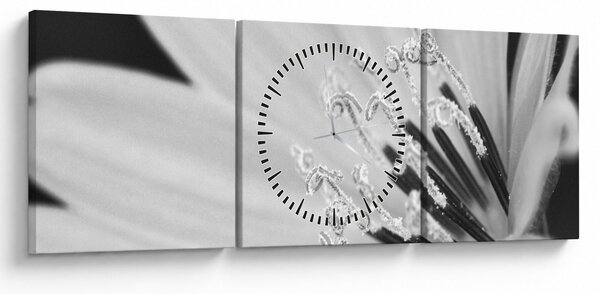Tablou - Floare albă și neagră (cu ceas) (90x30 cm)