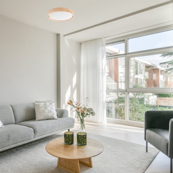 Plafonieră LED Brilagi MANAROLA SMART LED/24W/230V Tuya + telecomandă