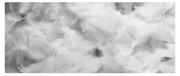 Tablou - Nori de pene (120x50 cm)