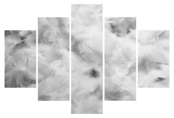 Tablou - Nori de pene (150x105 cm)