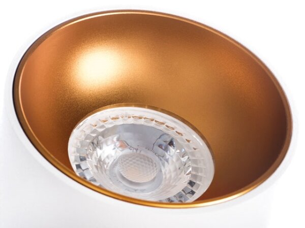Spot de tavan RITI GU10/25W/230V Kanlux 27570