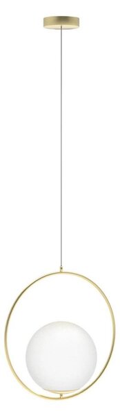 Lustră pe cablu JUMBO 1xG9/50W/230V auriu Azzardo AZ4983