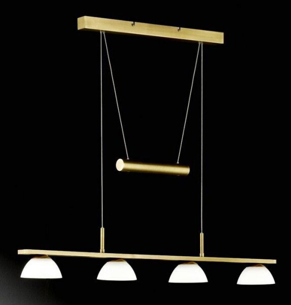 Lustră LED pe cablu VIGO 4xLED/4W/230V Fischer & Honsel 65054