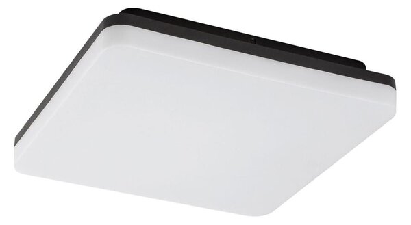 Rabalux 7250 - Plafonieră LED pentru baie PERNIK LED/24W/230V IP54