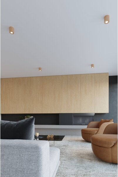 Aplică LED FRIDA 1xG9/3,5W/230V Brilagi