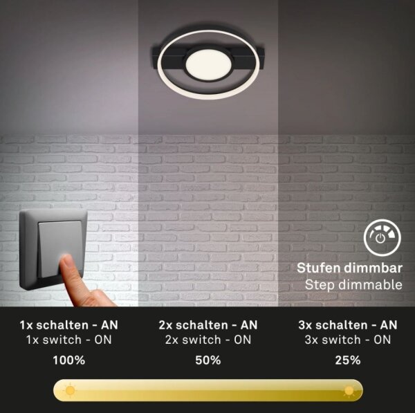 Plafonieră LED dimabilă FRAME LED/33W/230V Briloner 3026-015