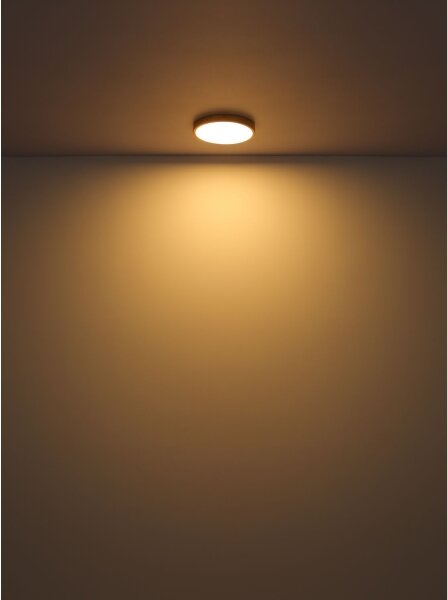 Plafonieră LED TIBEY LED/22W/230V d. 35 cm Globo 12381-22