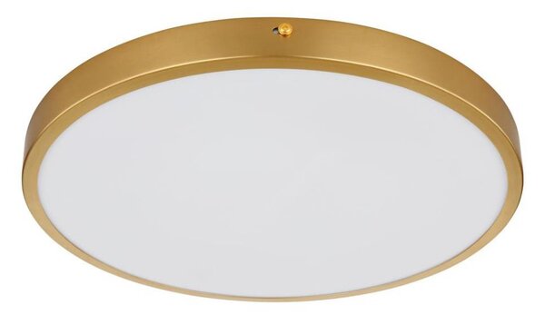 Plafonieră LED TIBEY LED/22W/230V d. 35 cm Globo 12381-22