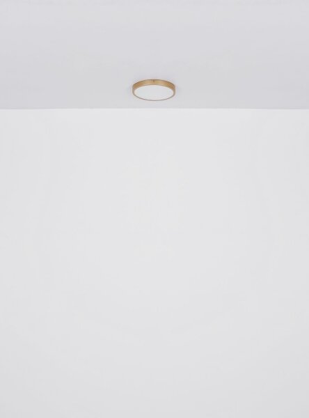Plafonieră LED TIBEY LED/22W/230V d. 35 cm Globo 12381-22