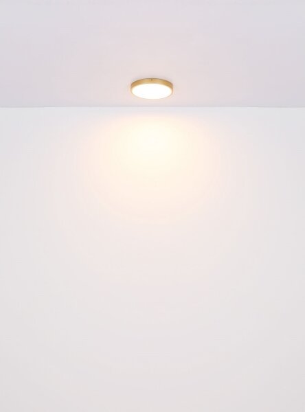 Plafonieră LED TIBEY LED/22W/230V d. 35 cm Globo 12381-22