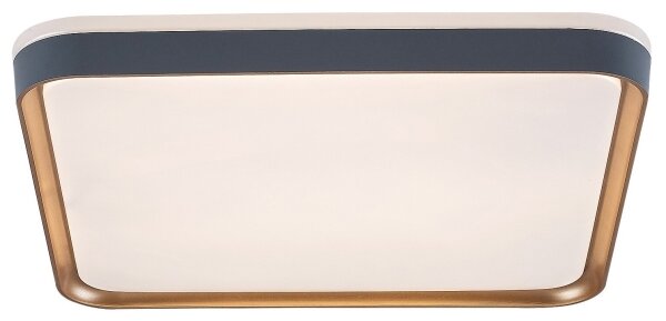 Rabalux 71029 - Plafonieră LED LIATRIS, 26W, 230V, 3000K