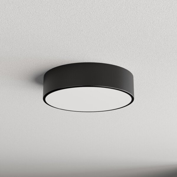 Plafonieră pentru baie CLARE 2xE27/24W/230V d. 30 cm negru IP54 Brilagi
