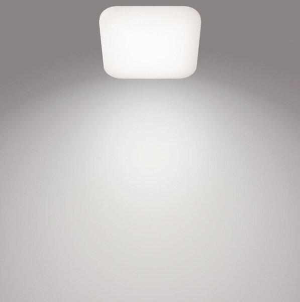 Plafonieră LED MAUVE LED/12W/230V 4000K Philips