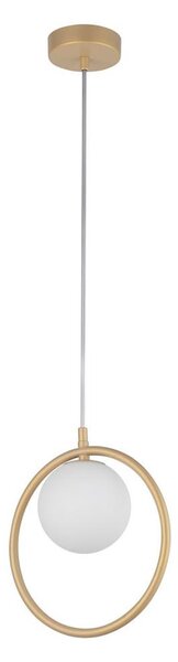 Lustră pe cablu AQUA 1xG9/12W/230V auriu
