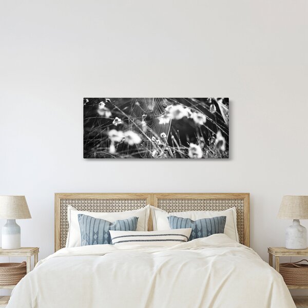 Tablou - Pânza de păianjen în pajiște (120x50 cm)