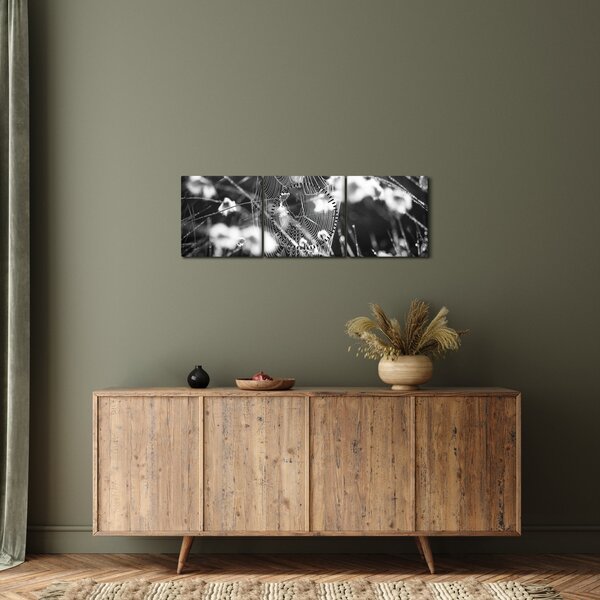 Tablou - Pânza de păianjen în pajiște (cu ceas) (90x30 cm)