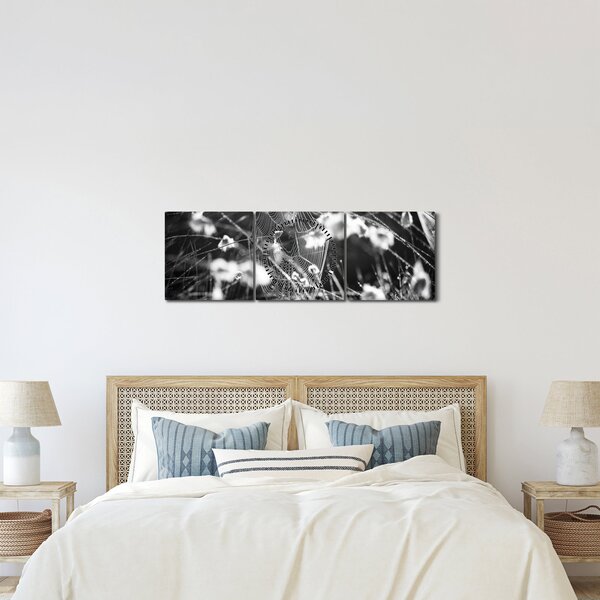 Tablou - Pânza de păianjen în pajiște (cu ceas) (90x30 cm)