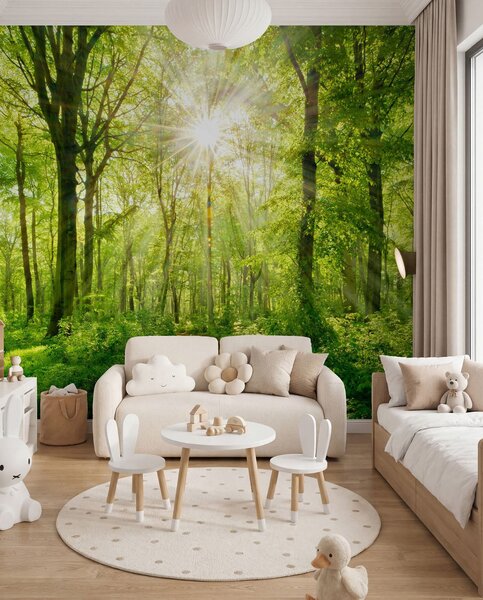 Tapet Cărare în pădurea însorită, Fototapet Natură, u22252 : Uwalls.ro