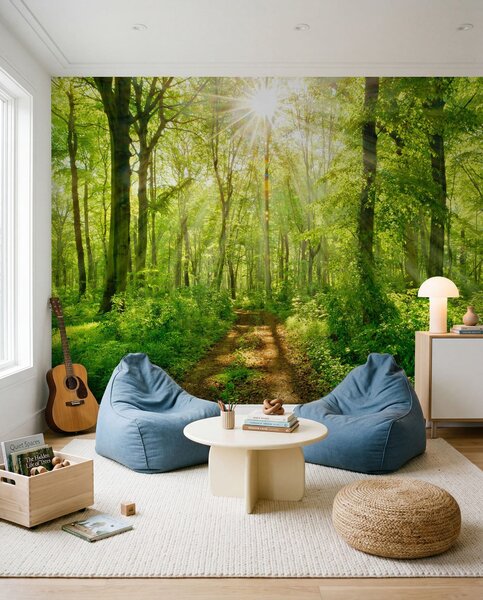 Tapet Cărare în pădurea însorită, Fototapet Natură, u22252 : Uwalls.ro