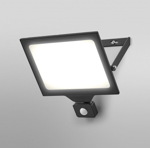 Ledvance - Proiector LED exterior cu senzor FLOODLIGHT, 100 W, 230 V, IP44