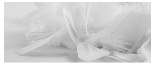Tablou - Pene (120x50 cm)