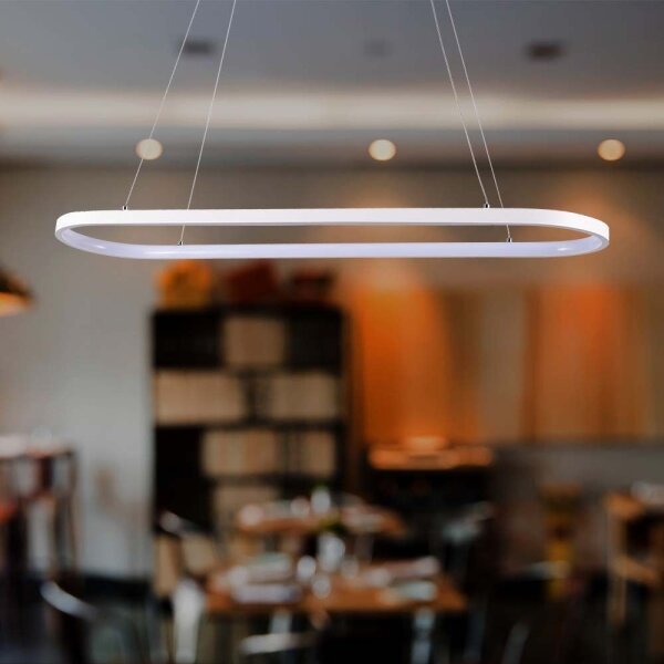 Lustră LED pe cablu LED/24W/230V 3000K alb
