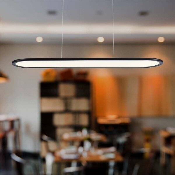 Lustră LED pe cablu LED/24W/230V 3000K negru