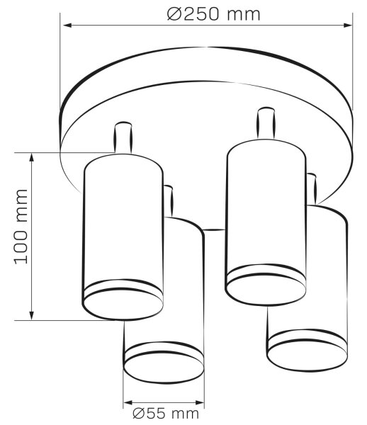 Spot pentru baie TURYN 4xGU10/10W/230V IP44 alb