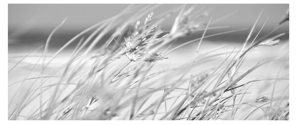 Tablou - Iarbă de plajă (120x50 cm)