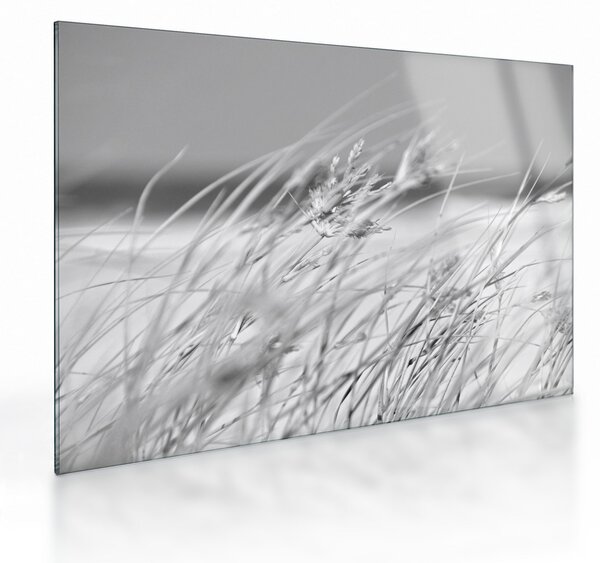 Tablou pe sticlă - Iarbă de plajă (70x50 cm)