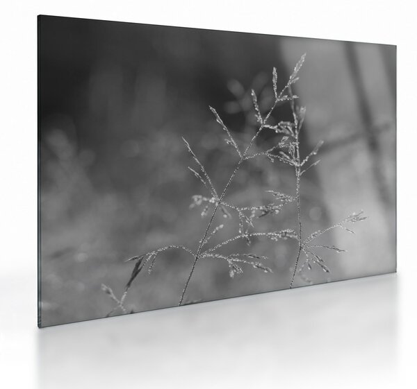 Tablou pe sticlă - Pajiște de țară (70x50 cm)