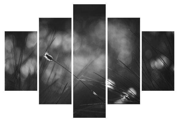 Tablou - Iarbă de pajiște (150x105 cm)