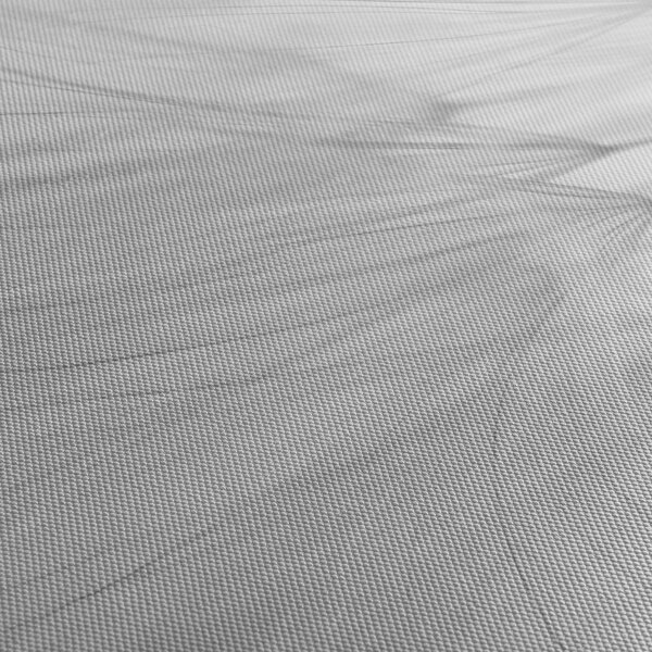 Tablou - Dandelion (70x50 cm)