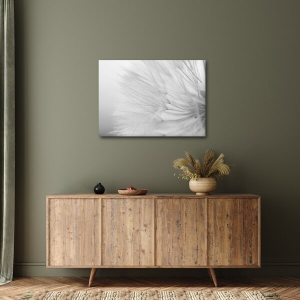 Tablou - Dandelion (70x50 cm)