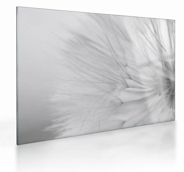 Tablou pe sticlă - Dandelion (70x50 cm)