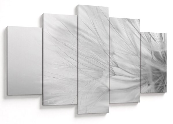 Tablou - Dandelion (150x105 cm)
