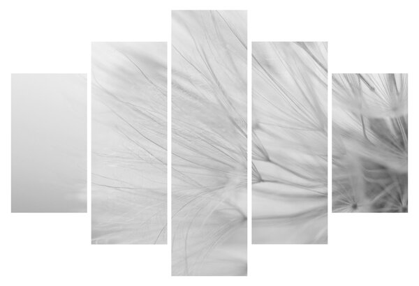 Tablou - Dandelion (150x105 cm)