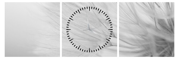 Tablou - Dandelion (cu ceas) (90x30 cm)