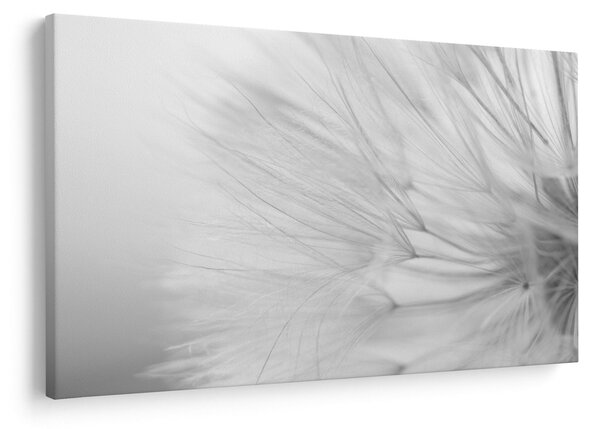 Tablou - Dandelion (90x60 cm)