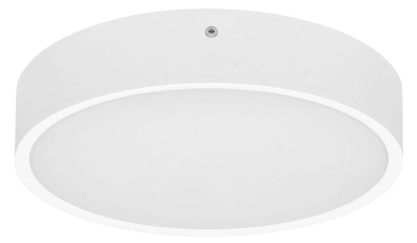 Plafonieră LED Ecolite WMAT350-25W/BI MARTIN LED/25W/230V IP65 alb
