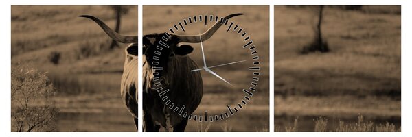 Tablou - Vacă din Texas (cu ceas) (90x30 cm)