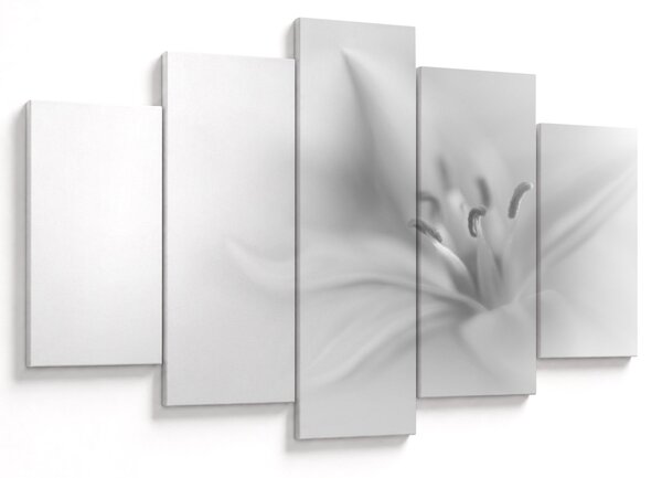 Tablou - Crin delicat (150x105 cm)