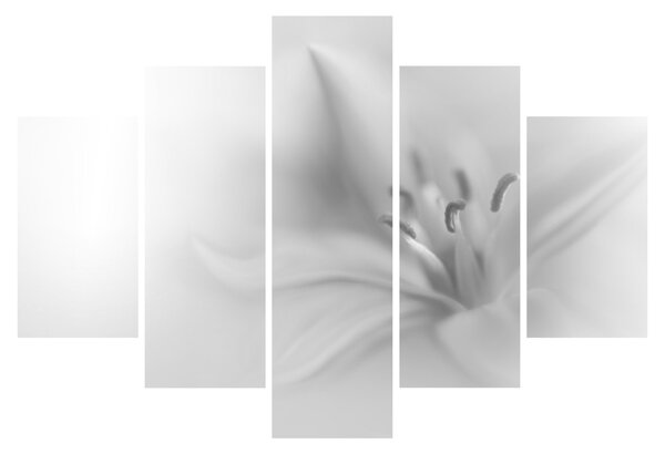 Tablou - Crin delicat (150x105 cm)