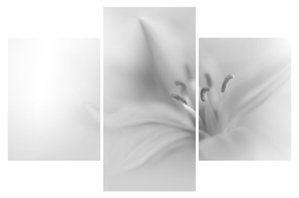 Tablou - Crin delicat (90x60 cm)