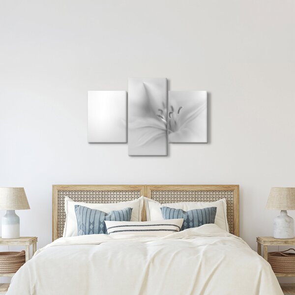 Tablou - Crin delicat (90x60 cm)