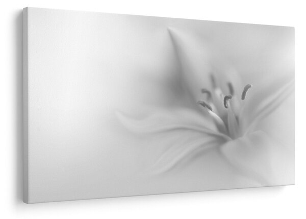 Tablou - Crin delicat (90x60 cm)
